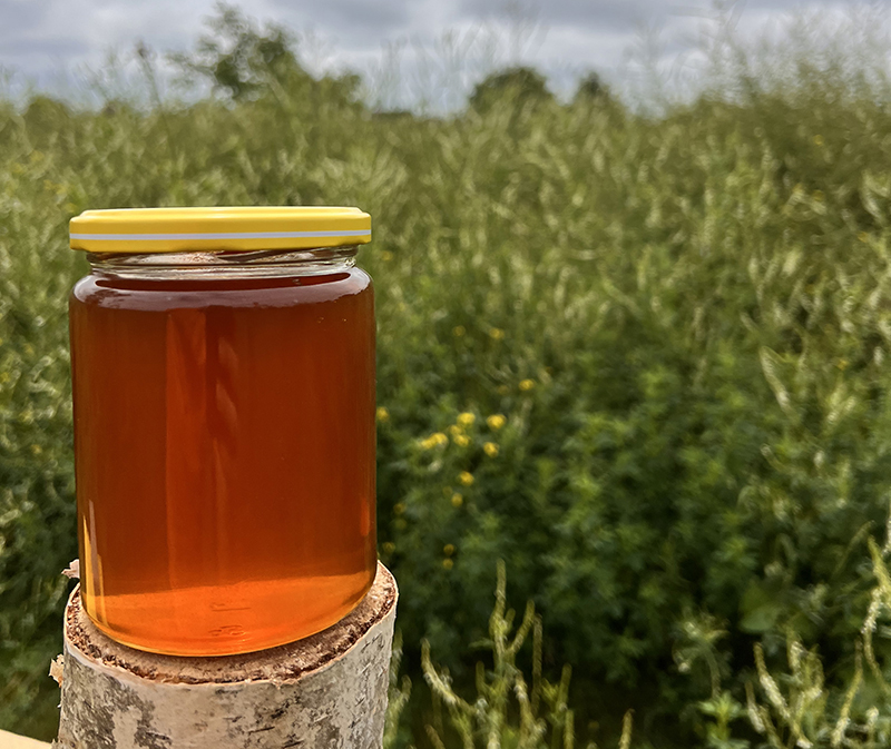 Naturalny miód wielokwiatowy z Pasieki Lisieckiej w Liszkach koło Krakowa.